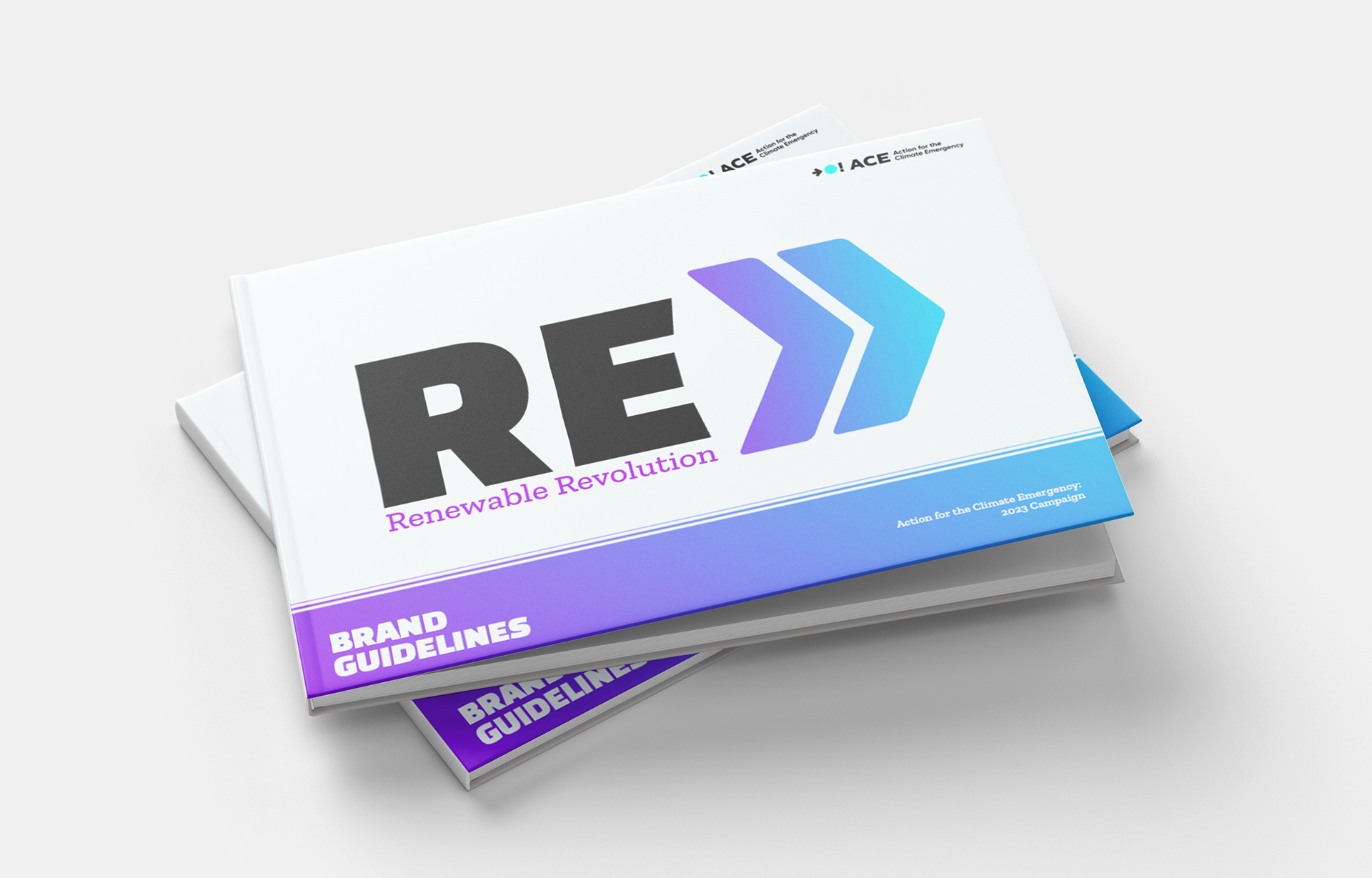 RE Brand Guide 1
